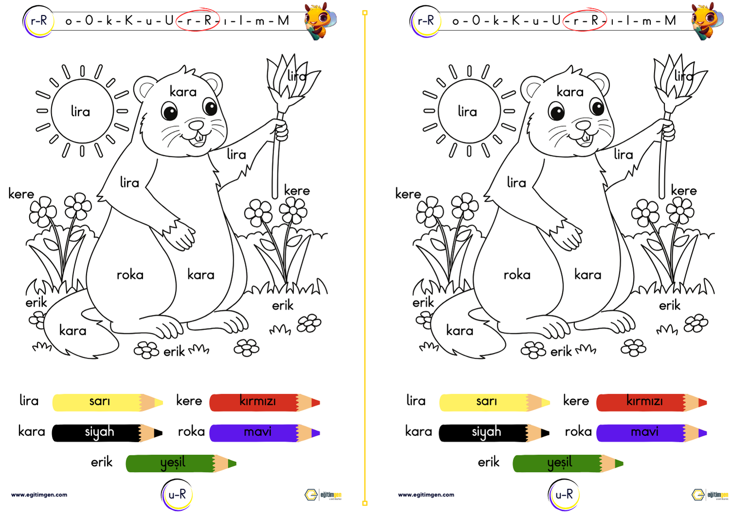 r-harfi-yeni-muufredat-15.png - Eğitimgen